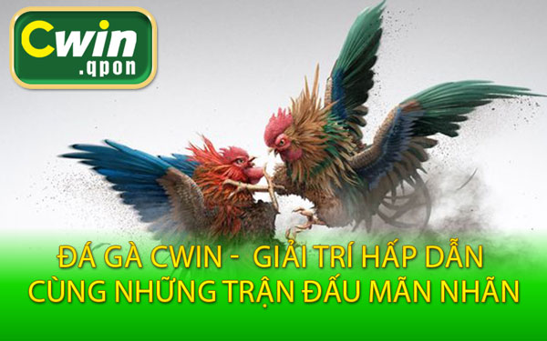 Đá Gà Cwin - Giải Trí Hấp Dẫn Cùng Những Trận Đấu Mãn Nhãn