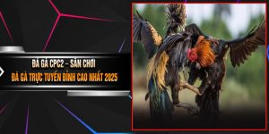 Đá Gà CPC2 – Sân Chơi Đá Gà Trực Tuyến Đỉnh Cao Nhất 2025
