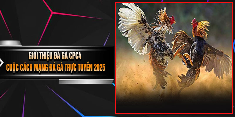 Giới Thiệu Đá Gà CPC4 – Cuộc Cách Mạng Đá Gà Trực Tuyến 2025