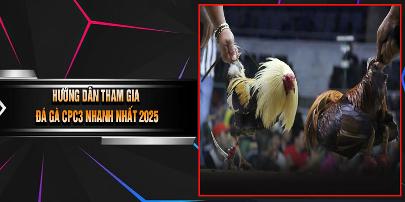 Hướng Dẫn Tham Gia Đá Gà CPC3 Nhanh Nhất 2025