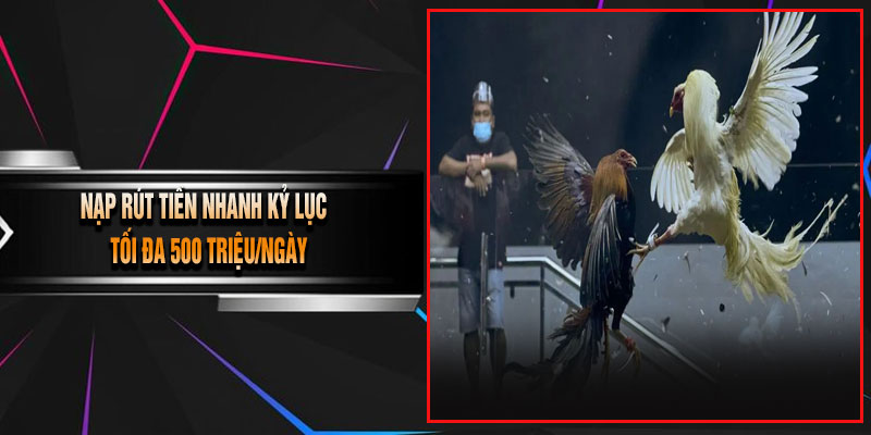 Nạp Rút Tiền Nhanh Kỷ Lục – Tối Đa 500 Triệu/Ngày