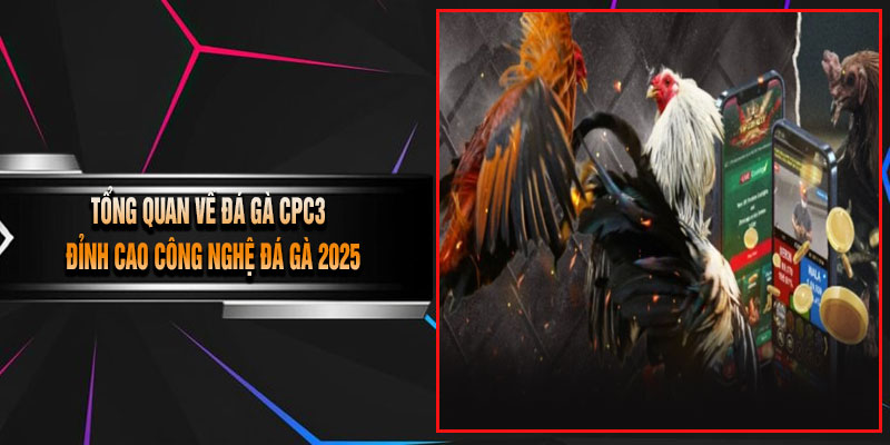 Tổng Quan Về Đá Gà CPC3 – Đỉnh Cao Công Nghệ Đá Gà 2025